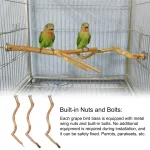 Natural Parrot Perch Bird Stand Tree Stick Paw Grinding Fork Parakeet Climbing Bird Standing Branches Toys Birdcage Accessories 5