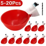 5-20Pcs Automatic Chicken Duck Drinking Cup Drinker Larger Chicken Feeder Plastic Poultry Farm Water Dispenser Quail Supply