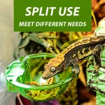 Arboreal Reptile Live Anti-escape Sucker Feeder Chameleon Food Basin Wall Double Layer Plastic Bowls for Small Animals D9210 5