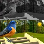 STLF 4K AI Bird Feeder CamerassWaterproof Solid Pattern Outdoor Bamboo Bird Feeder Smart Solar Energy Powered Wood Automatic 5