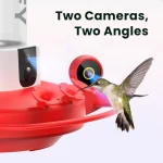 Hummingbird Feeder with Dual Cameras AI Identify - 2K HD Smart Cameras Close-Up Bird Video/Live Watching Instant Notifications 4