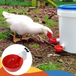 5-20Pcs Automatic Chicken Duck Drinking Cup Drinker Larger Chicken Feeder Plastic Poultry Farm Water Dispenser Quail Supply 6