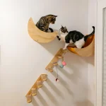 Cat Wall Hiding House Hammock Climbing Shelves Moon Perches Bed Ladder Solid Wood Steps For Activity Indoor Cats Wall Furniture 4