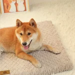 3D Foam Pet Bed With Removable Washable Faux Fur Cover Orthopedic Waterproof Dog Bed For Crate Anti-Slip Bottom Dog Bed 4
