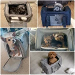 Dog Carrier Bag Soft Side Backpack Cat Pet Carriers Dog Travel Bags Airline Approved Transport For Small Dogs Cats Outgoing 6