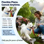 GPS Pet Tracker for Dogs Cats Built-in IoT Sim WiFi Tracking Unlimited Distance QR Code Anti-Lost Locator, Subscription Required 6