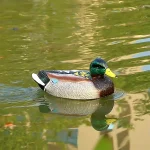 15Km/h 2.4G RC High Speed Speedboat Dual Motor Waterproof Creative Simulation Duck Model Boat Children's Toy Birthday Gift 2