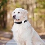 GPS Smart Pet Locator Waterproof Mini GPS Tracker Anti-Lost Bluetooth Locator Tracking Collar with LED Light for Pet Cats Dogs 2