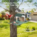 Smart Dual-Camera Bird Feeder & Bath with WiFi, 2K HD Video, AI Recognition, Solar Power for Garden 5