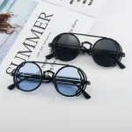 Classic Gothic Steampunk Sunglasses Luxury Brand Designer High Quality Men and Women Retro Round Pc Frame Sunglasses 2