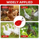 5-20Pcs Automatic Chicken Duck Drinking Cup Drinker Larger Chicken Feeder Plastic Poultry Farm Water Dispenser Quail Supply 5
