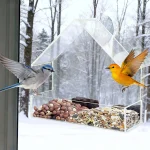 Acrylic Bird Feeder Clear Window Outside Hanging Bird Feeder House with Suction Cup for Garden Outdoor Backyard Wildlife Birding 2