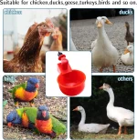 Chicken Drinking Bowl Poultry Automatic Water Dispenser Pigeon Automatic Water Dispenser Small Chick Feeding Bowl Chicken Coop 3