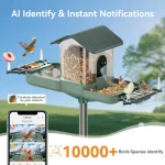 Smart Dual-Camera Bird Feeder & Bath with WiFi, 2K HD Video, AI Recognition, Solar Power for Garden 2