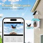 Backyard bird feeder with solar-powered AI camera for species identification 2K HD video instant notifications black finish wea 2