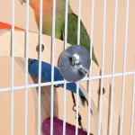 4/6/8 Step Bird Climbing Ladder Parrot Toy Ladder Bird Interaction Fun Climbing Toys Wooden Exercise Rack 5