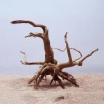 Natural Tree Trunk Driftwood Aquarium Fish Tank Reptile Cylinder Roots Plant Wood Decoration Ornament Accessory Aquarium Plants 5