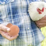 6/12/18/24pcs Plastic Eggs Chicken House Small Fake Eggs Farm Animal Supplies Cages Accessories Guide Chicken Nest Egg Painting 6