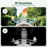 Backyard bird feeder with solar-powered AI camera for species identification 2K HD video instant notifications black finish wea 5