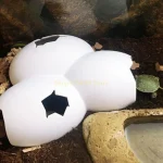 AXYC Reptiles Cave Egg for Shell Hiding Cave Hollow-out Insects Cave for Spider Tarantula Iguana Lizard Tortoise Habitat Aqua 2