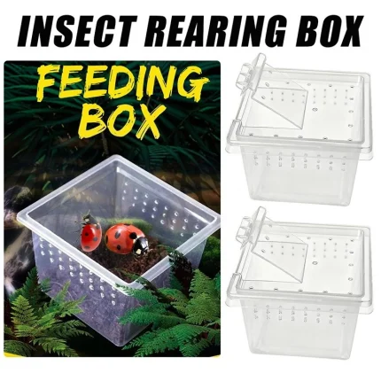 10x Feeding Box Reptile Cage Hatching Container Rearing Tank Clear Reptile Vivarium Terrarium Insect Rearing Box Food Feeding