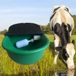 Automatic Water Drinking Bowl Farm Animals Water Feeder Cow Drinking Tool for Sheep Goats Feeding Water Bowl Livestock Supplies 6