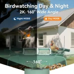 Smart Dual-Camera Bird Feeder & Bath with WiFi, 2K HD Video, AI Recognition, Solar Power for Garden 6