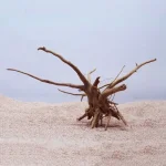 Natural Tree Trunk Driftwood Aquarium Fish Tank Reptile Cylinder Roots Plant Wood Decoration Ornament Accessory Aquarium Plants 6