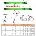 3 Modes Dog Luminous Charge Collar Led Usb Cat Dogs Collars Detachable Night Led Glow Dog Loss Prevention Collar Pet Accessories 5