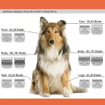 Dog Grooming Clipper Replacement Blades Compatible with Andis Pet Clipper/Oster-A5/Wahl KM-10 Series Dog Clipper 4