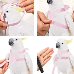 Parrot Flying Harness Leash Suit Macaw Accessories Stuff For Budgie Pet Bird Outdoor Flight Training Rope Cockatiel Supplies NEW 3