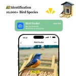 STLF 4K AI Bird Feeder CamerassWaterproof Solid Pattern Outdoor Bamboo Bird Feeder Smart Solar Energy Powered Wood Automatic 4