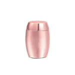 Colorful Mini Engraved Cremation Urns For Pet Human Ashes Casket Funeral Loss Of Love Aluminum alloy Cremation Pet Ashes Box 6