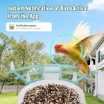 Backyard bird feeder with solar-powered AI camera for species identification 2K HD video instant notifications black finish wea 4