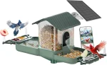 Smart Dual-Camera Bird Feeder & Bath with WiFi, 2K HD Video, AI Recognition, Solar Power for Garden