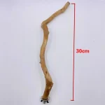 Natural Parrot Perch Bird Stand Tree Stick Paw Grinding Fork Parakeet Climbing Bird Standing Branches Toys Birdcage Accessories 6