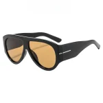 New Trendy Oversized Large Frame Y2K Cat Eye Sunglasses for Women Vintage Retro Oval Gradient Sunglasses UV400 Decoration Shades