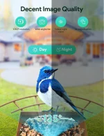 Solar-Powered Smart Bird Feeder with Camera, AI Bird Identification, Auto Video Capture & Instant Alerts for Outdoor Use 4