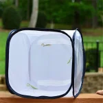 Butterfly Habitat Insect Cage Mesh Butterfly Cages Pop-up Collapsible Insect Mesh Cage Plant Greenhouse Box Plant Net Cloth 3