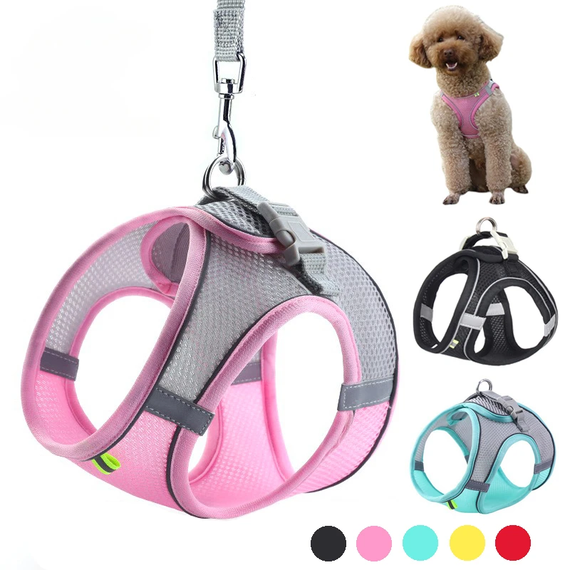 Puppy Harness Set Dog Accessories Adjustable Puppy and Cat Harness Vest French Bulldog Chihuahua Small Dog Collar Pet Leash Dogs Puppy Harness Set Dog Accessories Adjustable Puppy and Cat Harness Vest French Bulldog Chihuahua Small Dog Collar Pet Leash Dogs