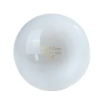 UVA+UVB Reptile Lamp Bulb Turtle Basking UV Light Bulbs Heating Lamp Amphibians Lizards Temperature Controller 5