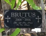 Personalized Granite Pet Memorial Stones for Dogs Cats Horses Garden Grave Markers 2