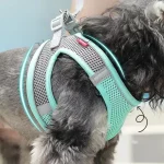 Puppy Harness Set Dog Accessories Adjustable Puppy and Cat Harness Vest French Bulldog Chihuahua Small Dog Collar Pet Leash Dogs 2