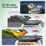 Solar-Powered Smart Bird Feeder with Camera: 2K HD Live View, AI Bird ID, Weatherproof Design for Outdoor Bird Watching 6