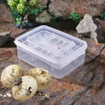 16 Grids Reptiles Lizard Snake Egg Incubator Tray Hatcher Plastic Breeding Case 2