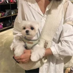 Handmade Pet Dog Puppy Kitten Carrier Outdoor Travel Handbag Canvas Single Shoulder Cat Bag Sling Comfort Tote Bag Breathable 4