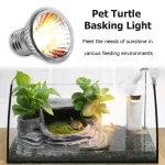 1-20PCS 25/50/75W UVA+UVB Reptile Lamp Bulb Turtle Basking Heating Light UV Light Bulbs Full Spectrum Sunlamp for Amphibians 6