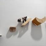 Cat Wall Hiding House Hammock Climbing Shelves Moon Perches Bed Ladder Solid Wood Steps For Activity Indoor Cats Wall Furniture