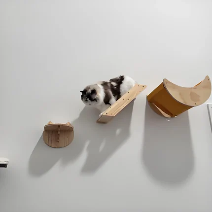 Cat Wall Hiding House Hammock Climbing Shelves Moon Perches Bed Ladder Solid Wood Steps For Activity Indoor Cats Wall Furniture