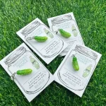 "MINI Emotional Pickle" Resin Keychain 4